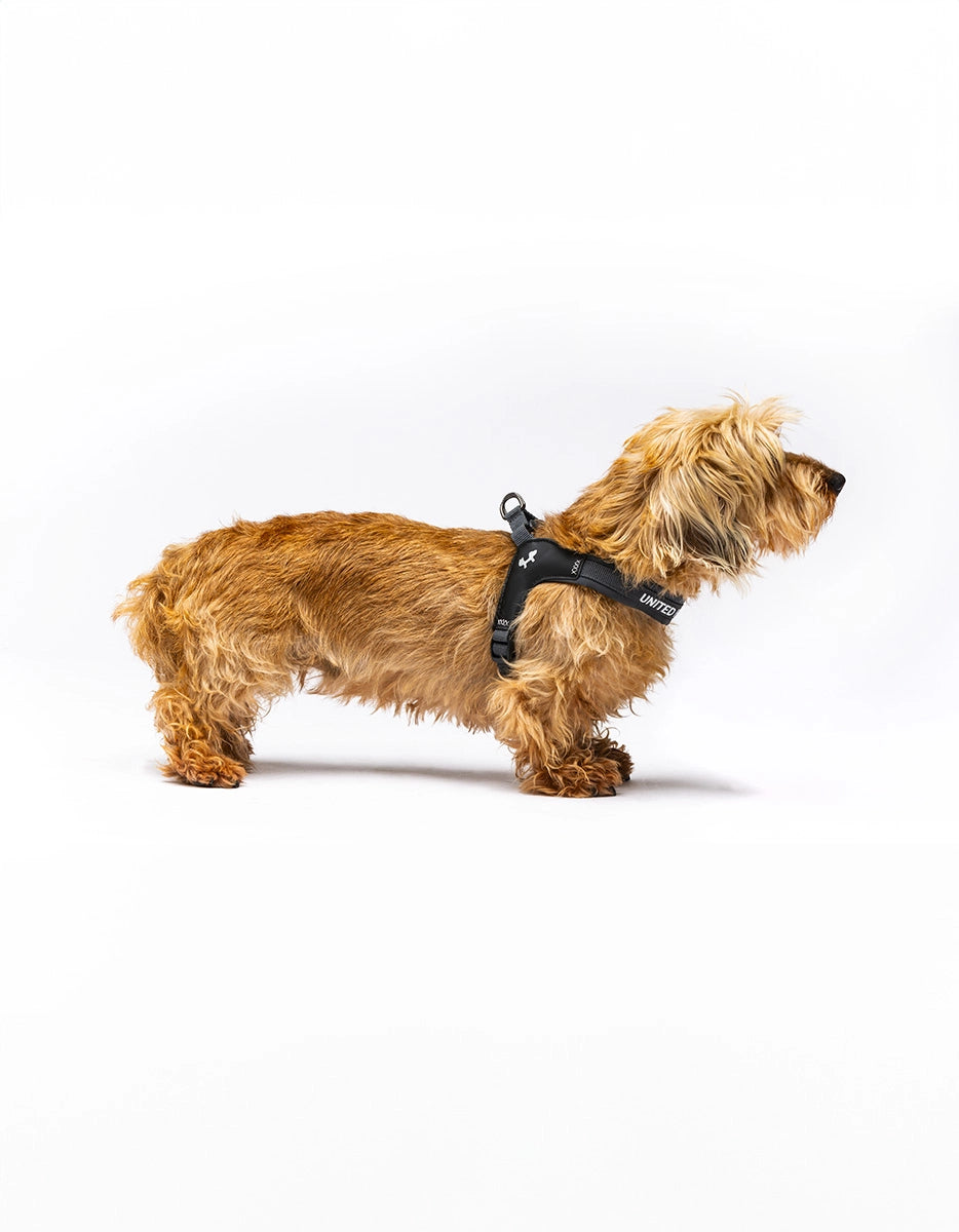 Unaited Pets – Fast Fit Harness Регулируем нагръдник за кучета – Anthracite Grey