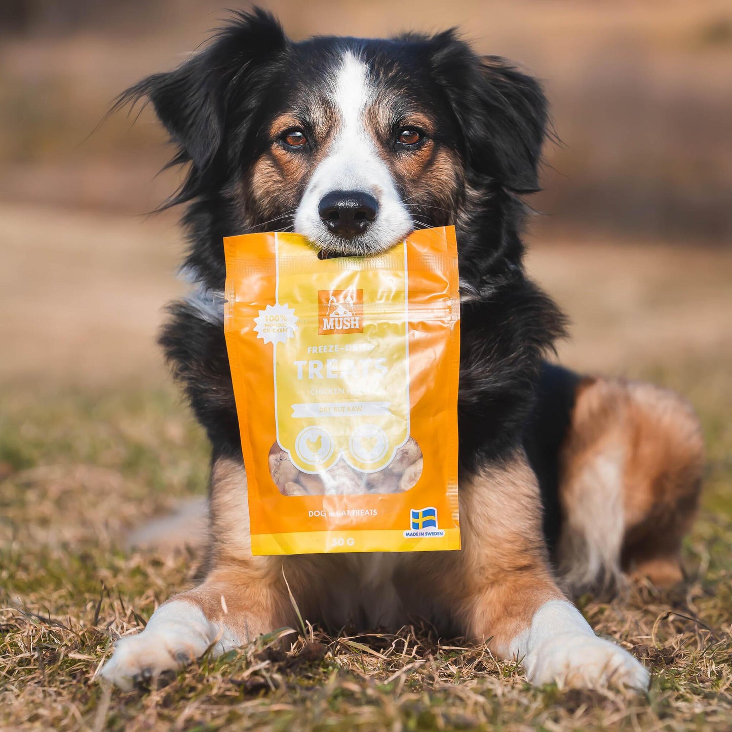 MUSH Лиофилизирани лакомства – Пилешко сърце 55г