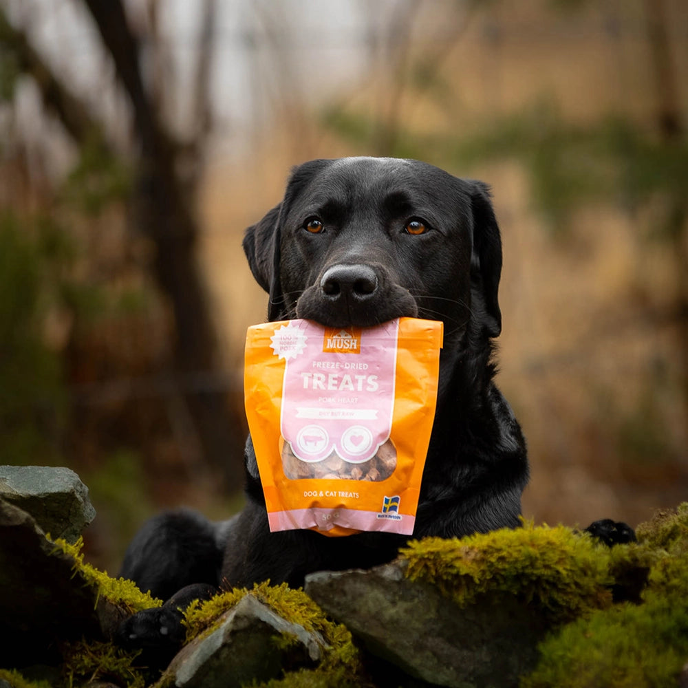 MUSH Лиофилизирани лакомства – Свинско сърце 55г