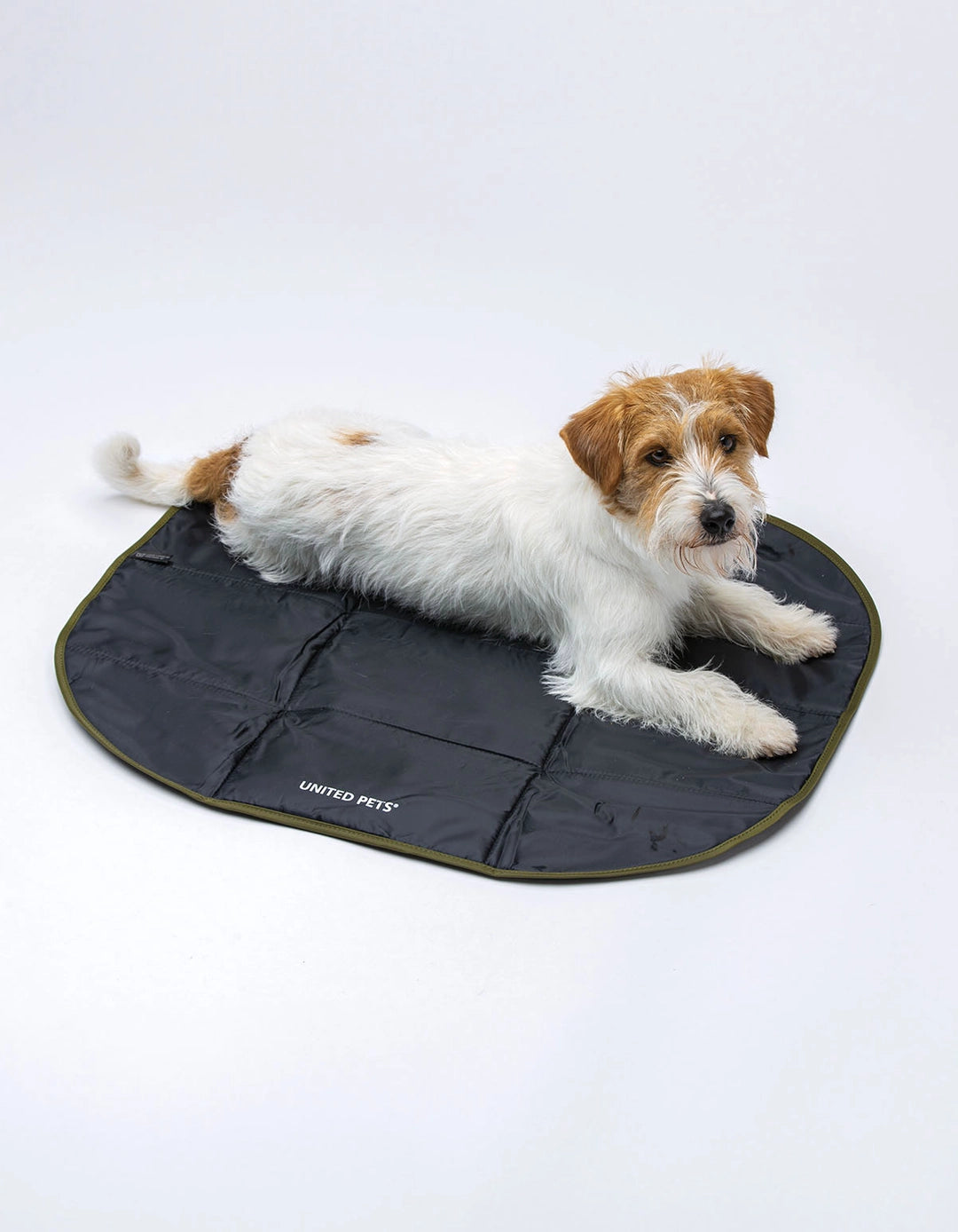 United Pets – Lazy Dog Mat Portable Foldable Padded Mat Сгъваема подплатена постелка за кучета – Black/Green & Black/Pink