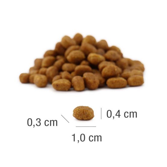 Пълноценна суха храна за подрастващи котенца Platinum MeatCrisp Kitten Fish 400г