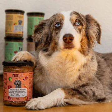Готвено прясно говеждо месо за кучета със сладък картоф, ябълка и броколи – FIDELIS