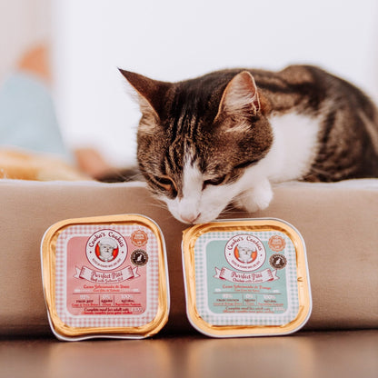 Пилешки пастет за котки - Cooka's Cookies