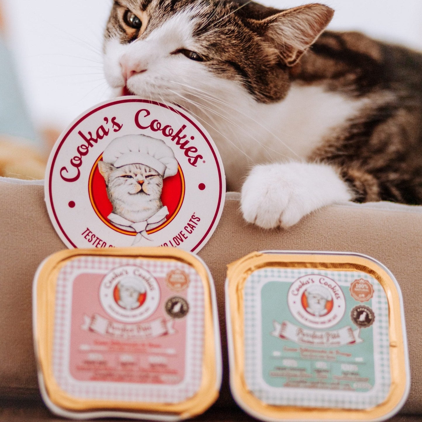 Пилешки пастет за котки - Cooka's Cookies