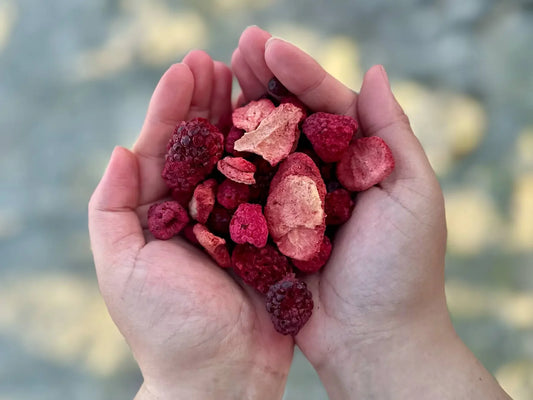Горски плодове Hokuō® Mori no Berī 50 g