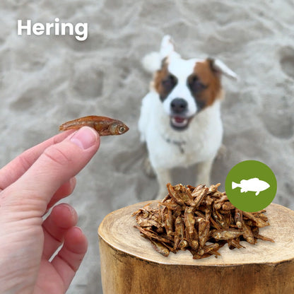 Kauartikel Dried Herring – Сушена херинга за кучета и котки 100гр