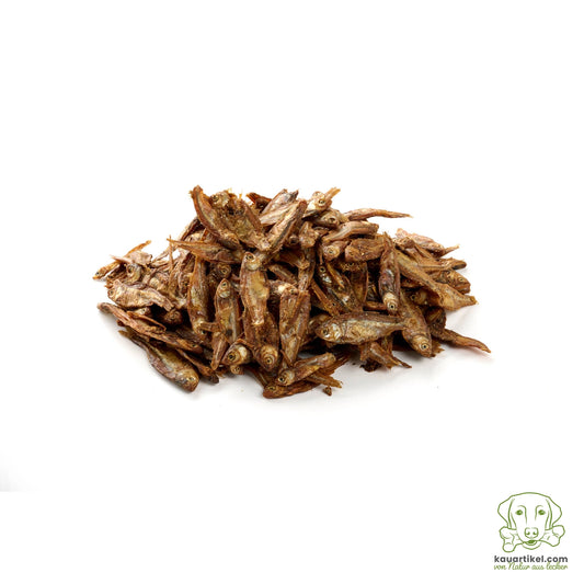 Kauartikel Dried Herring – Сушена херинга за кучета и котки 100гр