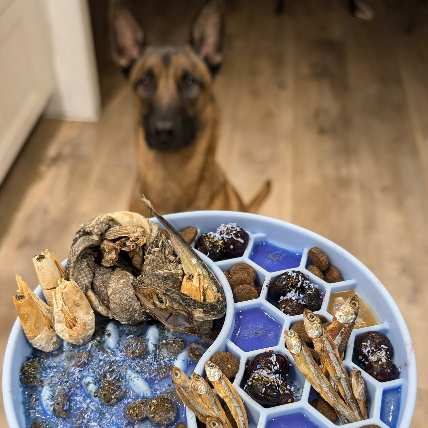 Суперхрана с кокос и синя спирулина за кучета - Cooka's Cookies