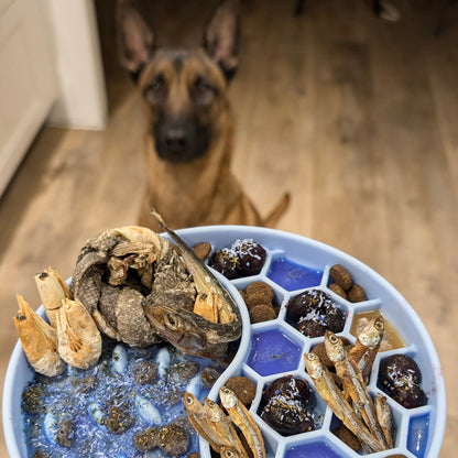 Суперхрана с кокос и синя спирулина за кучета - Cooka's Cookies