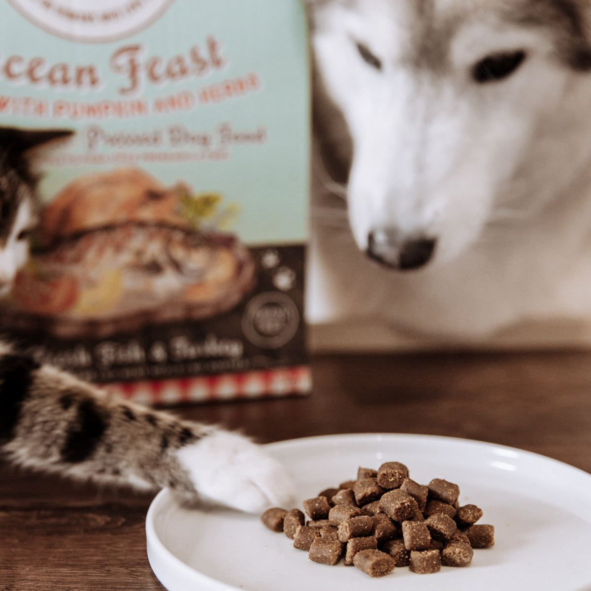 Студено пресована храна за кучета Ocean Feast - Cooka's Cookies