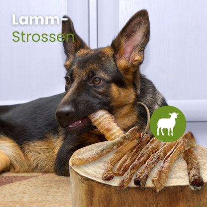 Kauartikel Lamb Trachea – Сушени агнешки трахеи за кучета 100 гр