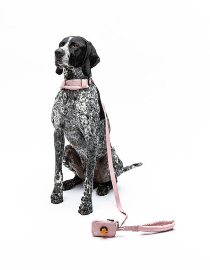 Unaited Pets – CityLife Soft Collar Подплатен мек нашийник за кучета – Rose