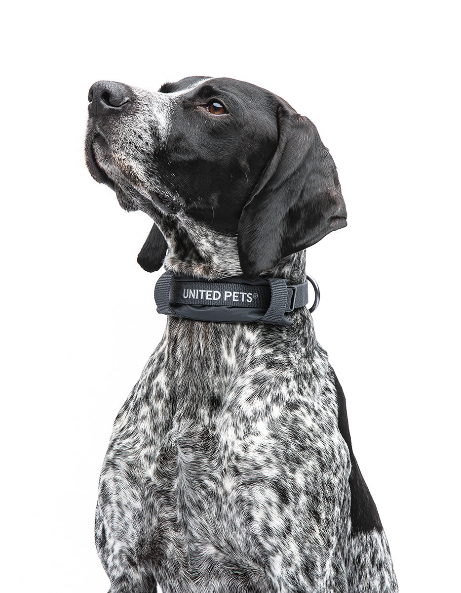 Unaited Pets – CityLife Soft Collar Подплатен мек нашийник за кучета – Anthracite Grey
