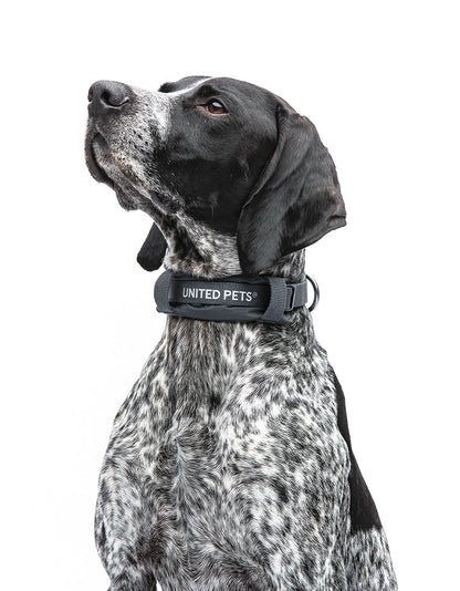 Unaited Pets – CityLife Soft Collar Подплатен мек нашийник за кучета – Anthracite Grey