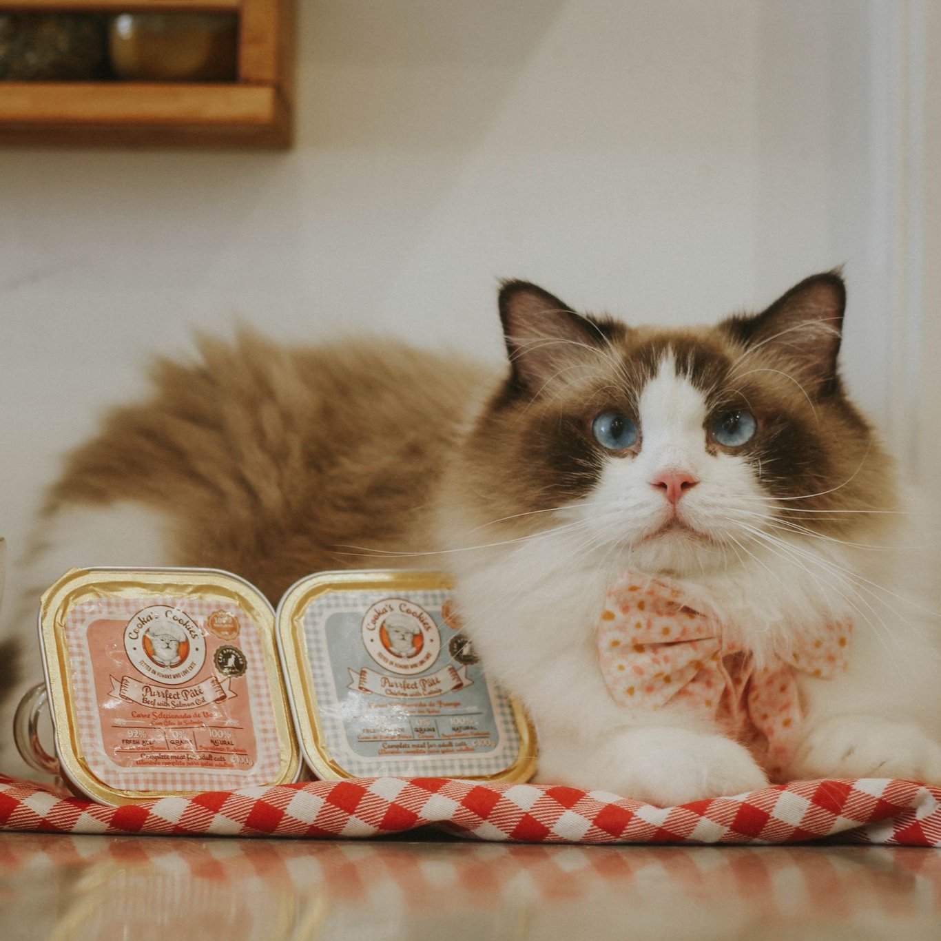 Телешки пастет за котки - Cooka's Cookies