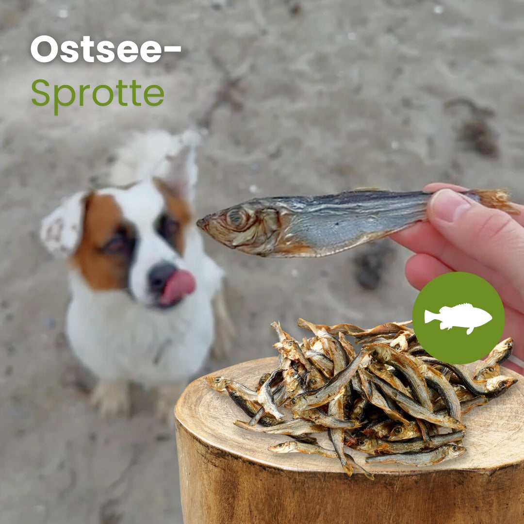 Kauartikel Baltic Sprats – Сушени балтийски цаци за кучета и котки 100 гр