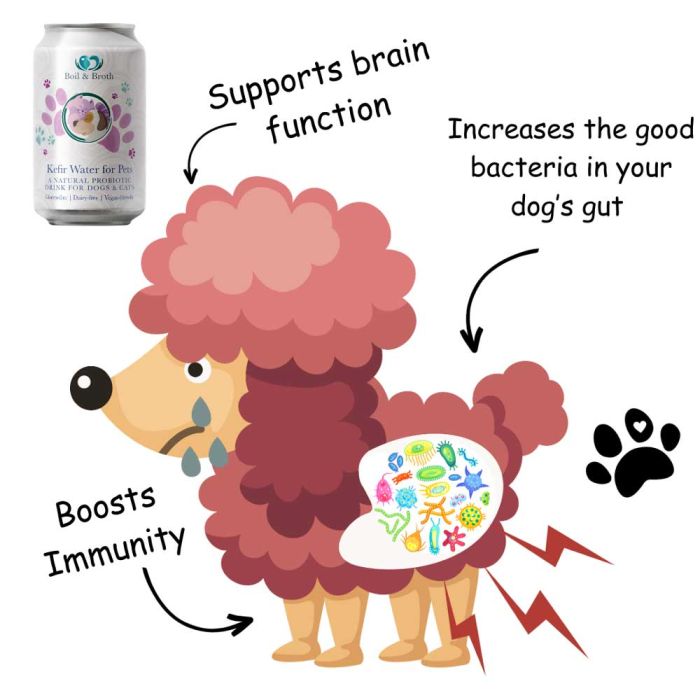 Boil & Broth Kefir Water for Pets 330 ml