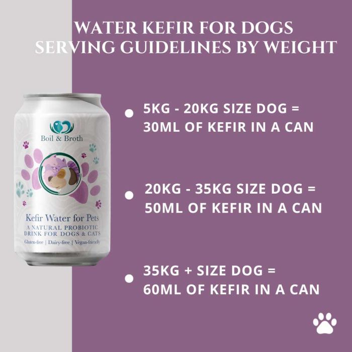 Boil & Broth Kefir Water for Pets 330 ml