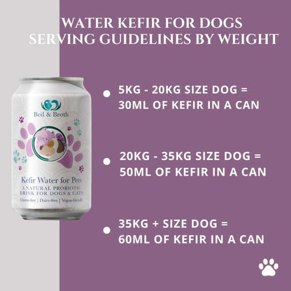 Boil & Broth Kefir Water for Pets 330 ml