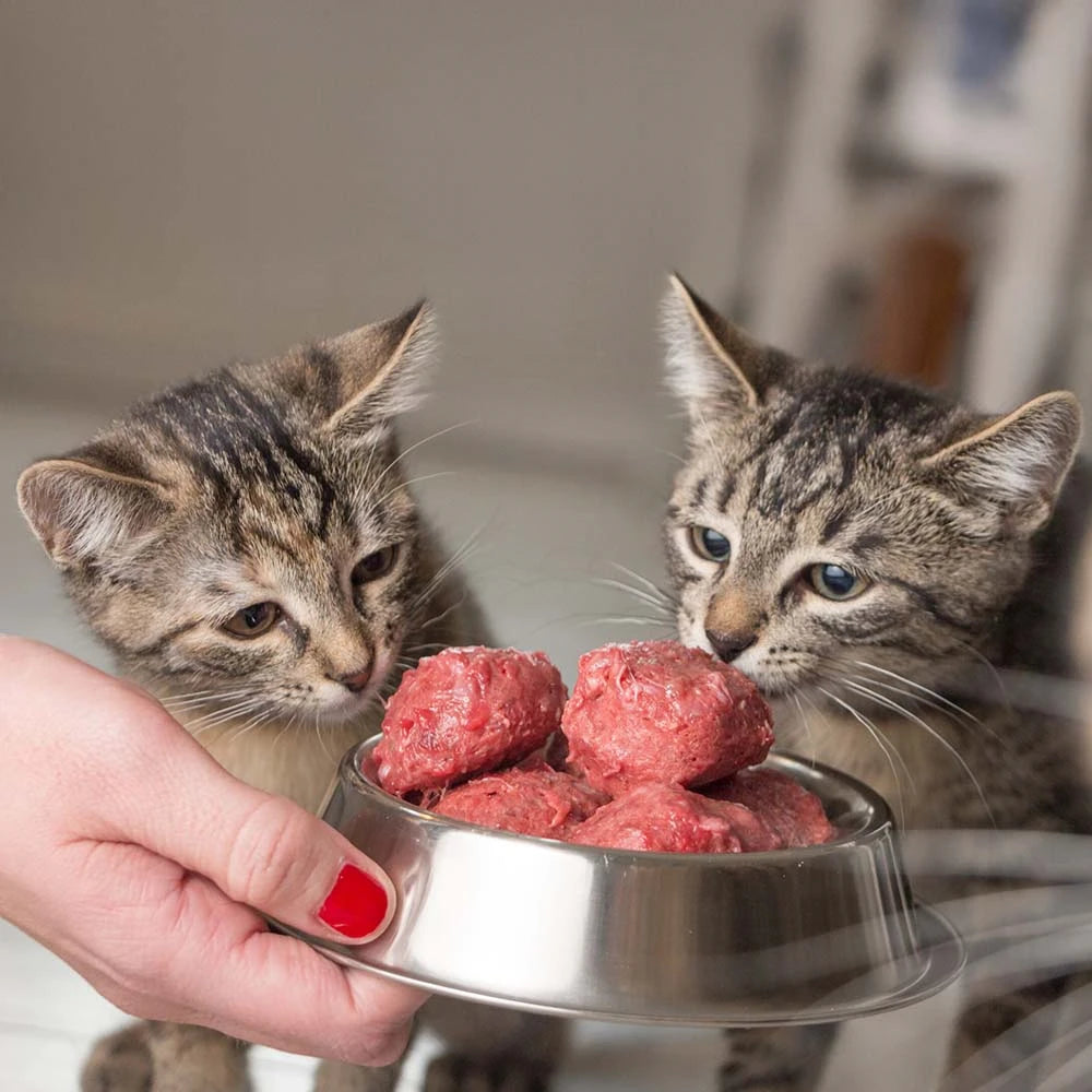MUSH Vaisto Cat PINK Меню за котки с пилешко и свинско месо 800 гр.