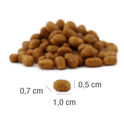 Пълноценна суха храна за кастрирани котки Platinum MeatCrisp Sterilised Chicken 400г