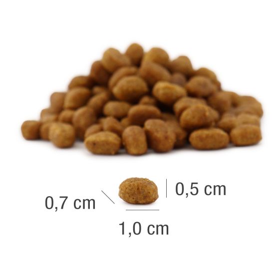 Пълноценна суха храна за кастрирани котки Platinum MeatCrisp Sterilised Fish 400г